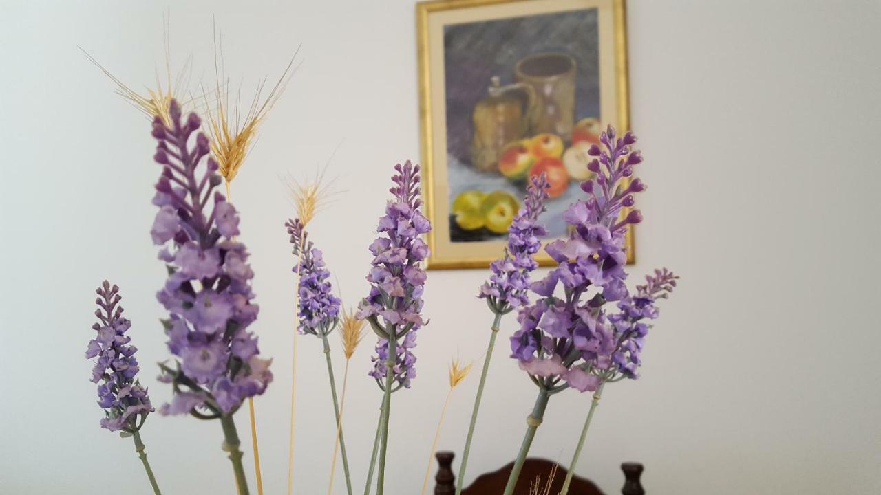 Bevanda Pula Dış mekan fotoğraf