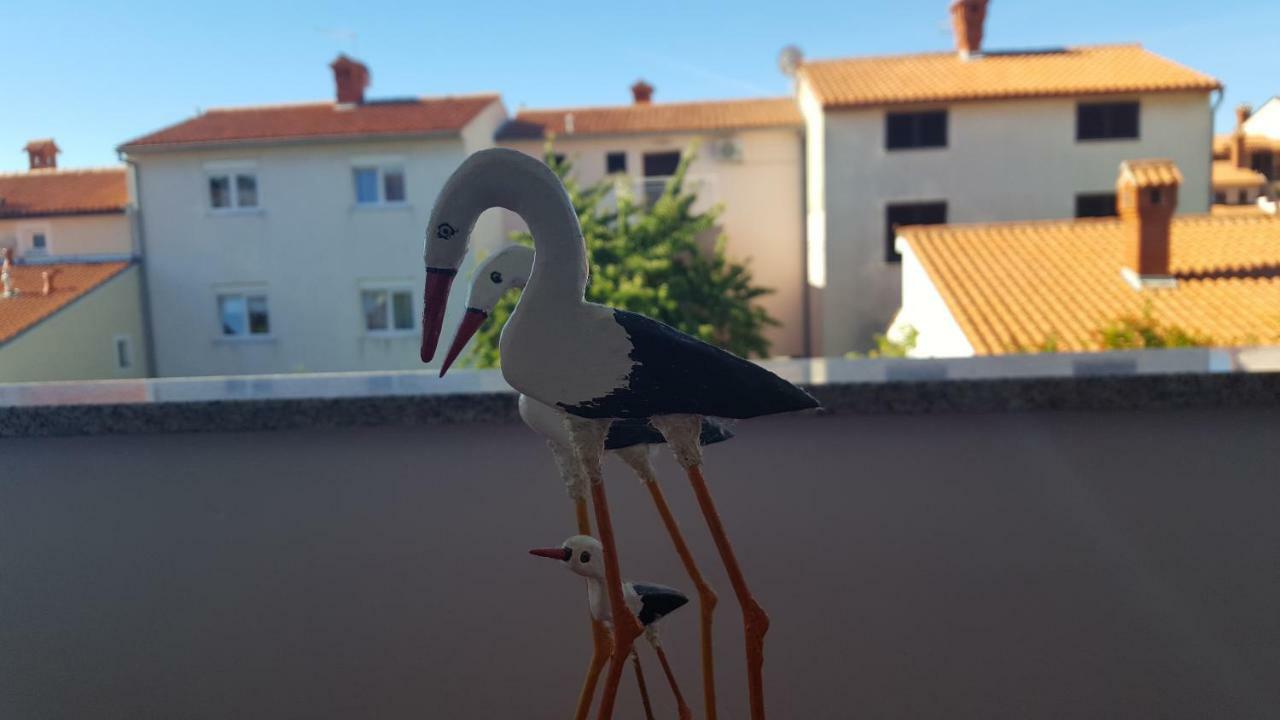 Bevanda Pula Dış mekan fotoğraf